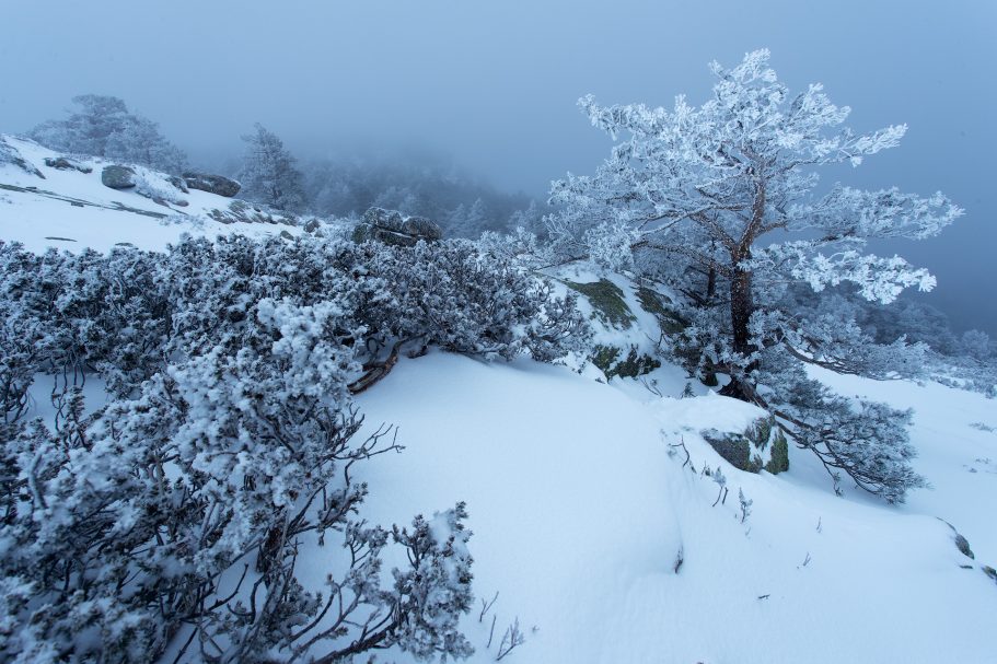Paisaje nevado en la sierra de Madrid