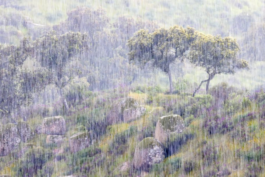 Sierra de Andújar bajo la lluvia